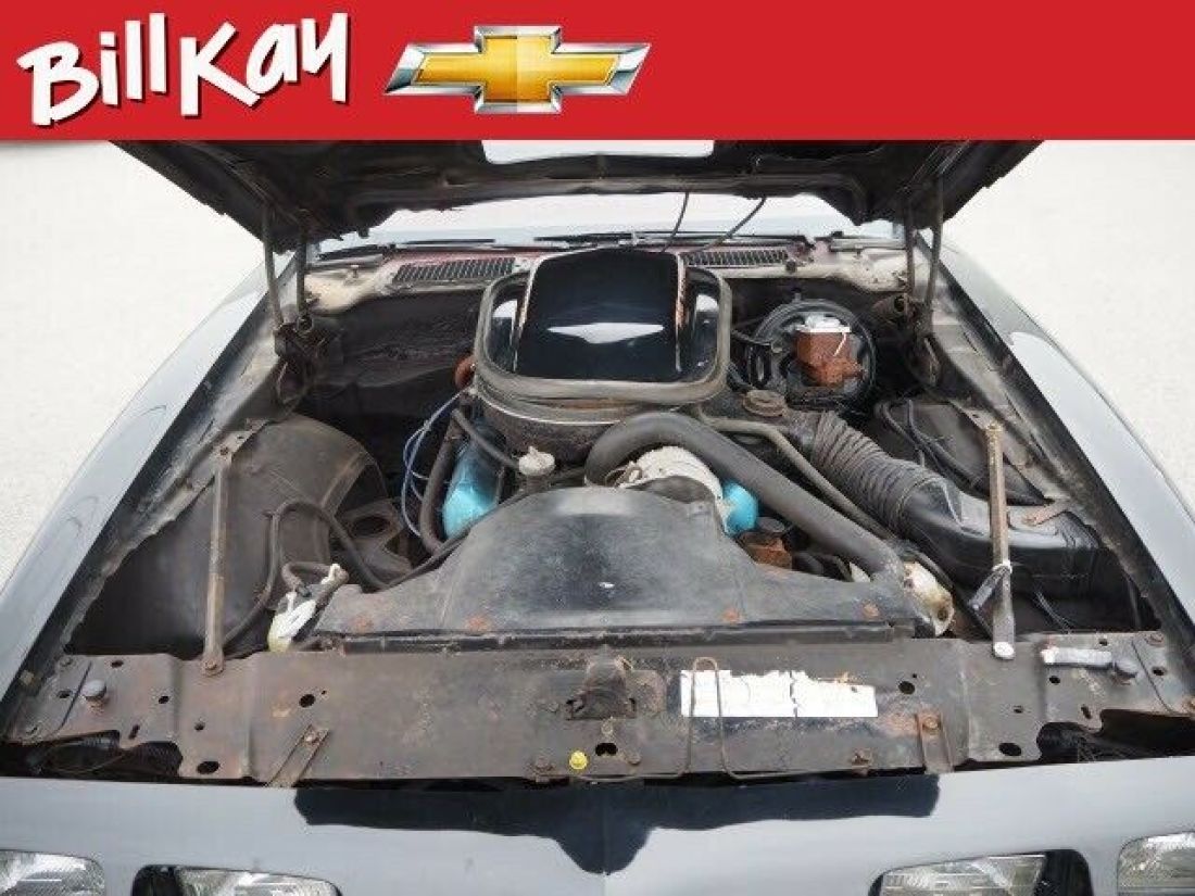 1979 Pontiac Firebird Trans Am - photo 5