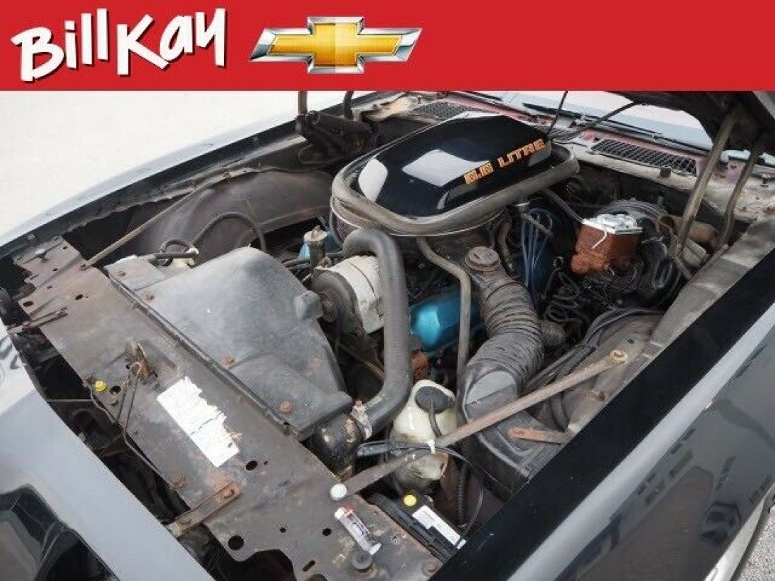 1979 Pontiac Firebird Trans Am - photo 7