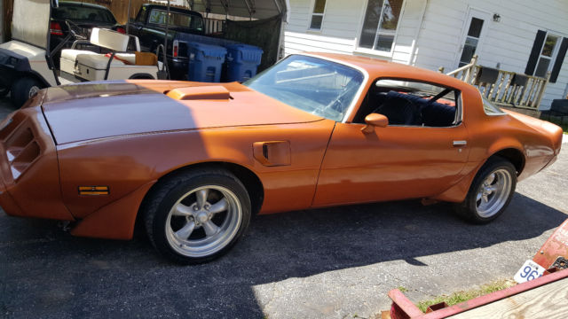 1979 Pontiac Firebird - photo 3