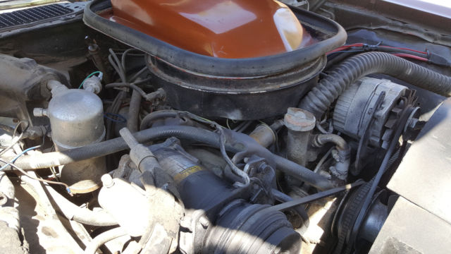 1979 Pontiac Firebird - photo 8