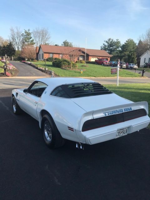 1979 Pontiac Trans Am - photo 4