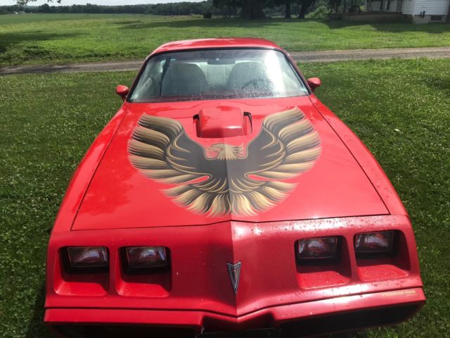 1979 Pontiac Firebird Trans Am - photo 10