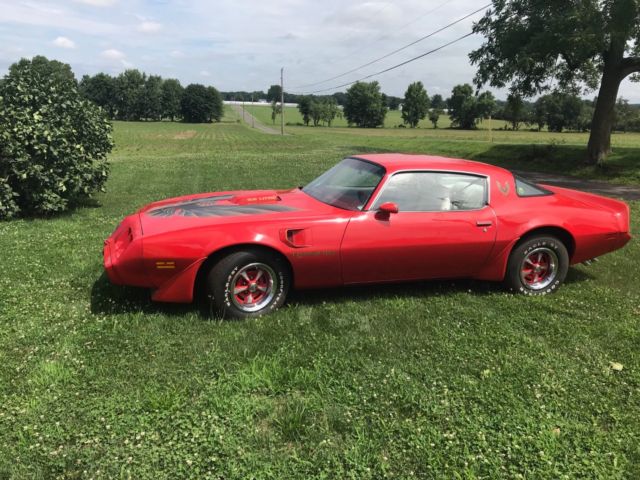 1979 Pontiac Firebird Trans Am - photo 2