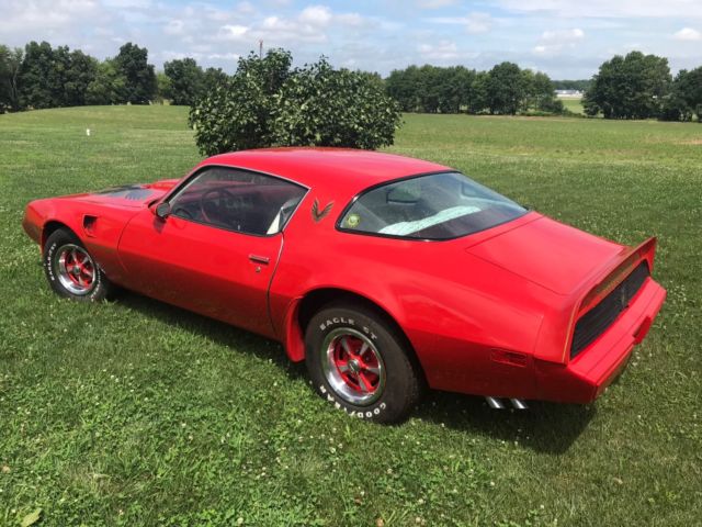 1979 Pontiac Firebird Trans Am - photo 3