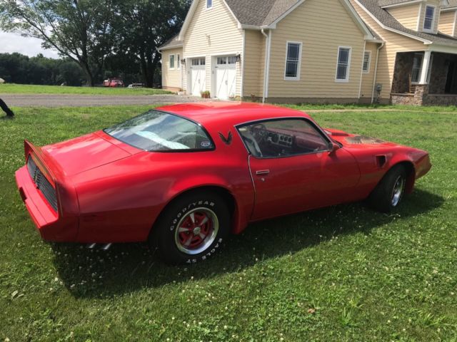 1979 Pontiac Firebird Trans Am - photo 4