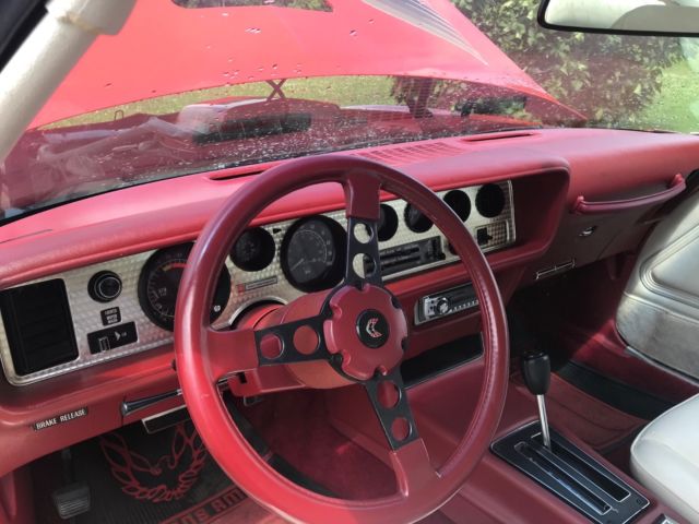 1979 Pontiac Firebird Trans Am - photo 6