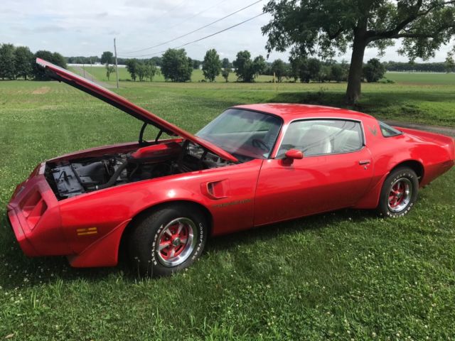1979 Pontiac Firebird Trans Am - photo 7
