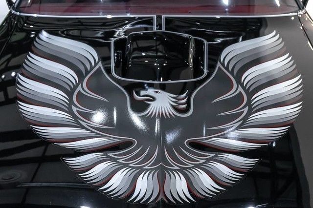 1979 Pontiac Firebird Trans Am - photo 6