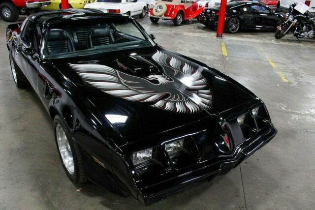 1979 Pontiac Firebird Trans Am - photo 9