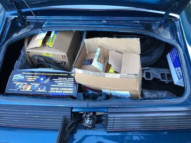 1979 Pontiac Trans Am - photo 13