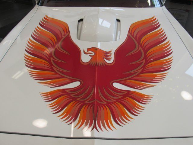 1979 Pontiac Firebird Trans Am - photo 6