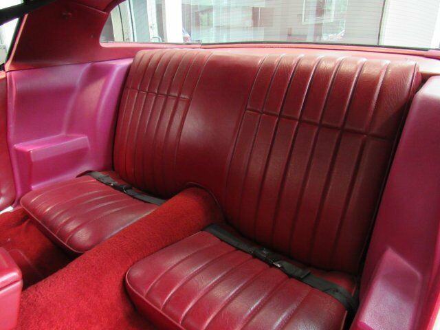 1979 Pontiac Firebird Trans Am - photo 8