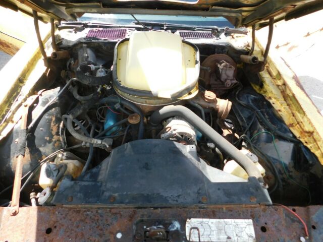 1979 Pontiac Trans Am coupe - photo 13