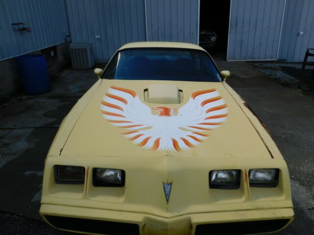 1979 Pontiac Trans Am coupe - photo 2