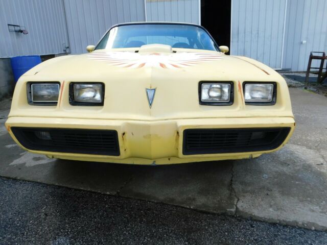 1979 Pontiac Trans Am coupe - photo 3
