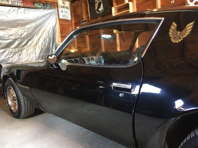 1979 Pontiac Trans Am Firebird - photo 12