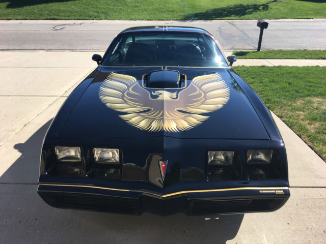 1979 Pontiac Trans Am Trans Am - Bandit - photo 9