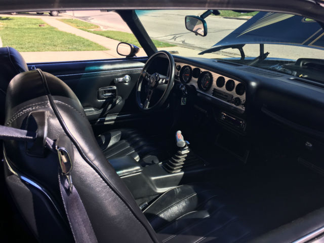 1979 Pontiac Trans Am Trans Am - Bandit - photo 12