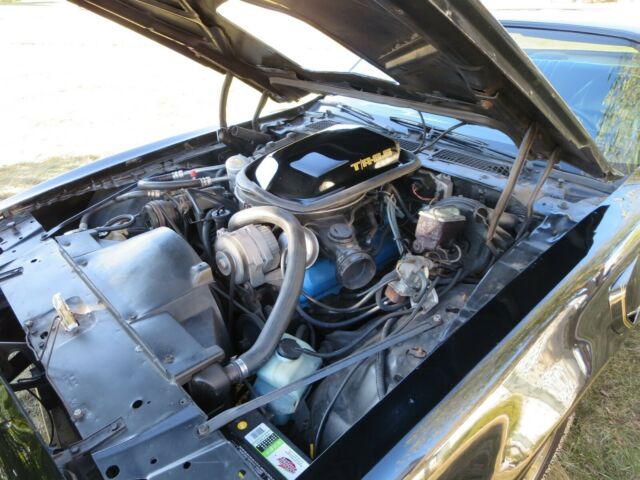 1979 Pontiac Trans Am - photo 5