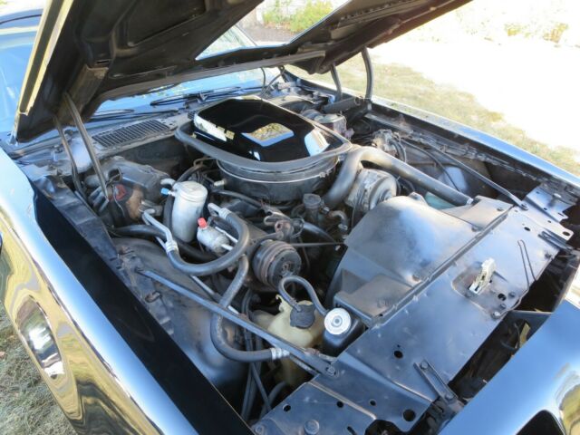 1979 Pontiac Trans Am - photo 7