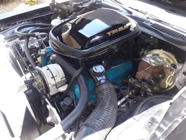 1979 Pontiac Firebird Trans AM - photo 13