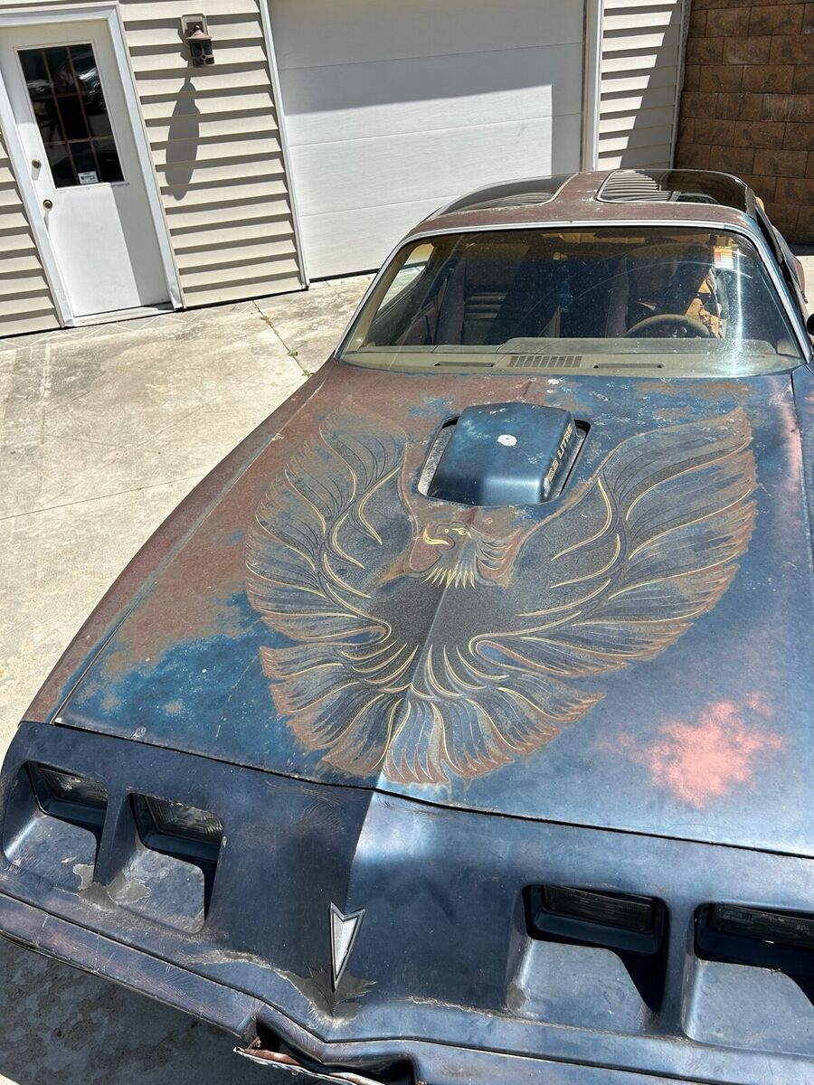 1979 Pontiac Firebird - photo 10