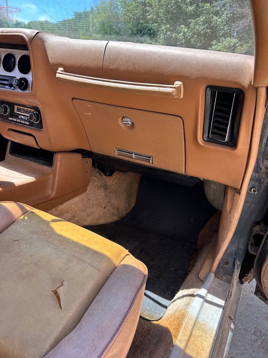 1979 Pontiac Firebird - photo 11