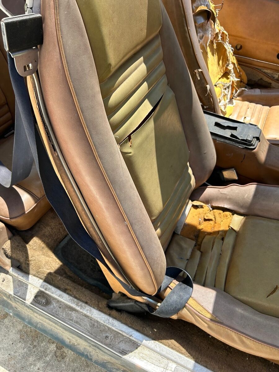 1979 Pontiac Firebird - photo 12