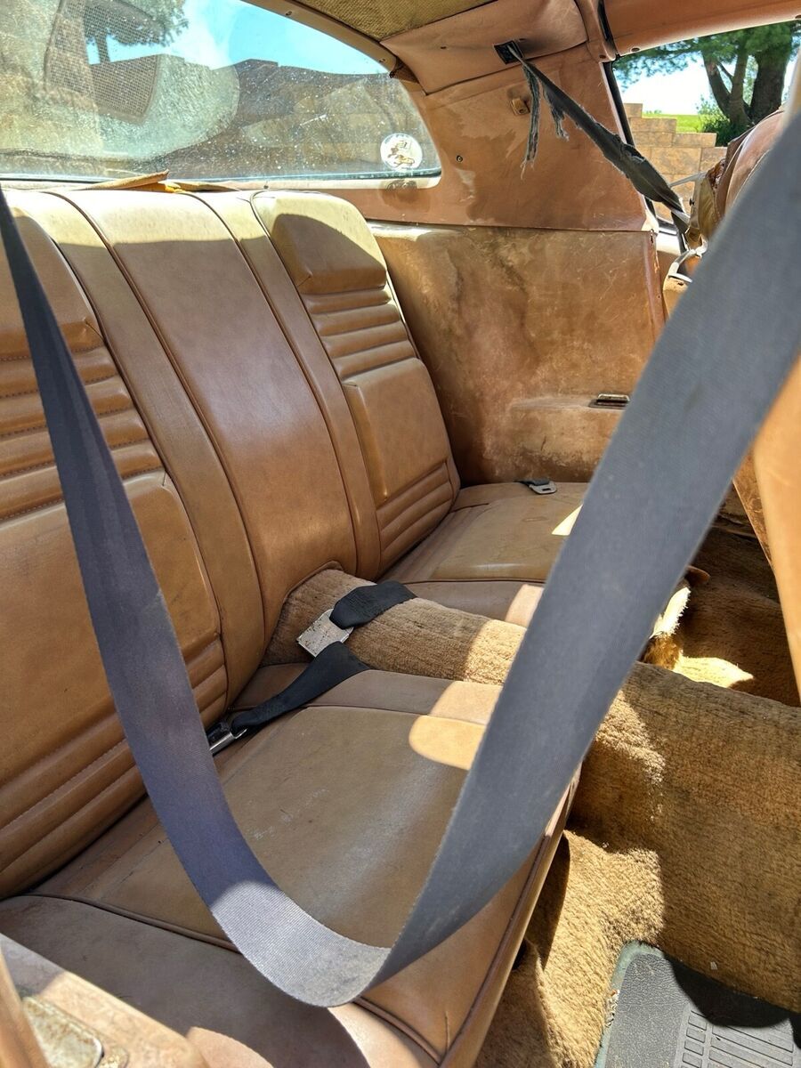 1979 Pontiac Firebird - photo 13