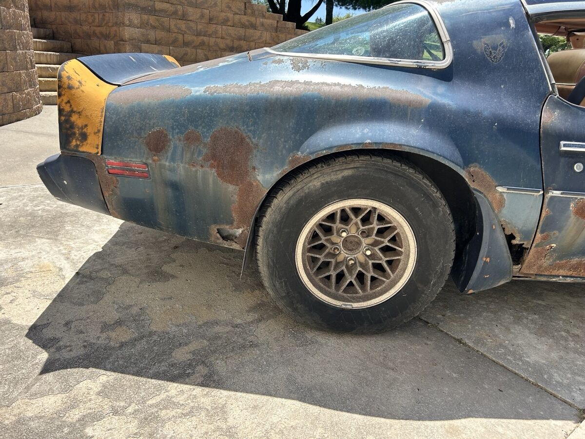 1979 Pontiac Firebird - photo 3