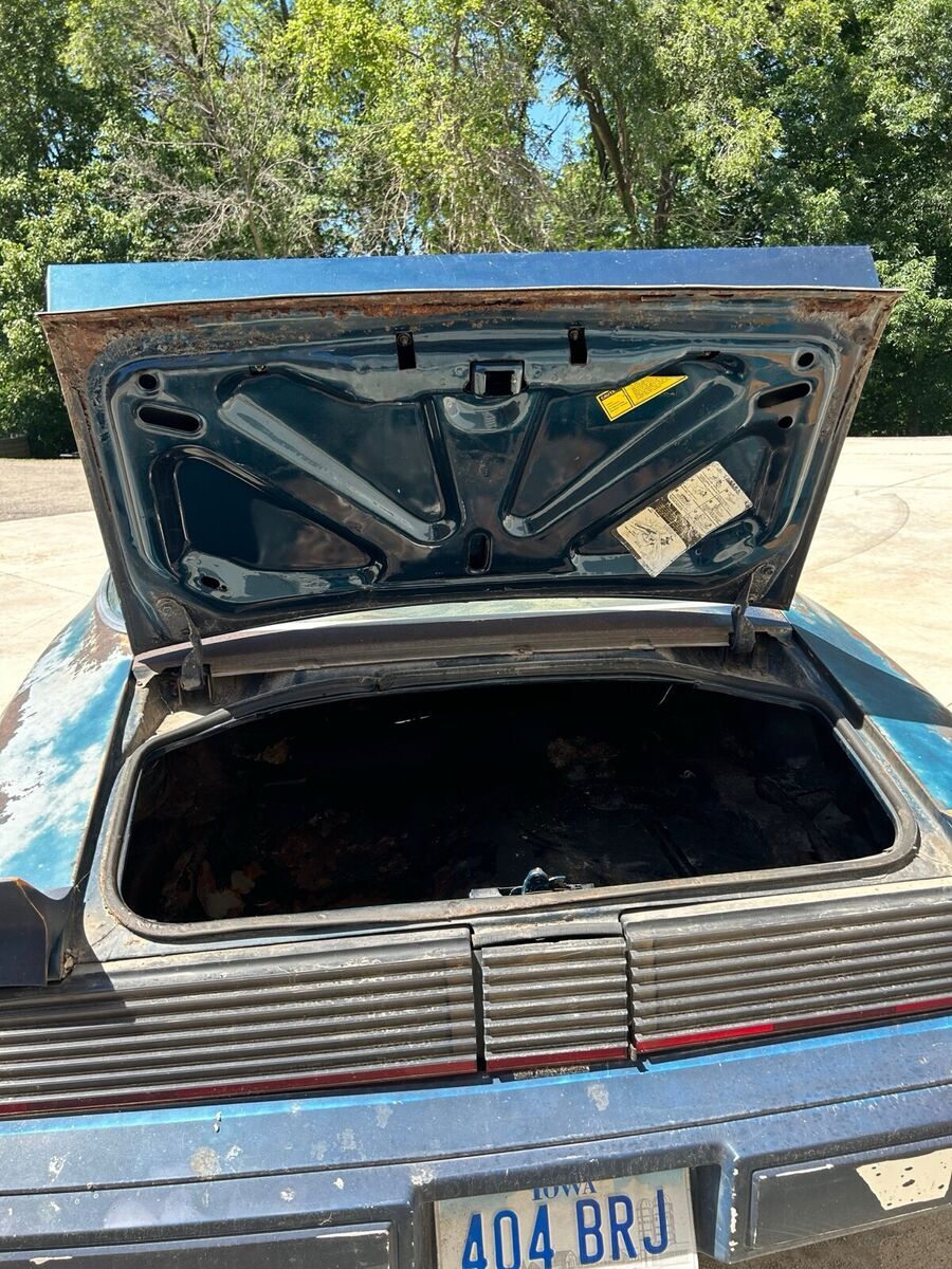 1979 Pontiac Firebird - photo 5