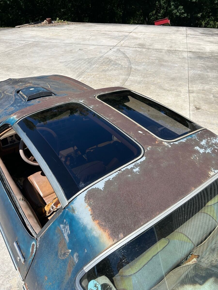 1979 Pontiac Firebird - photo 7