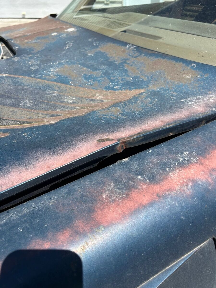 1979 Pontiac Firebird - photo 9