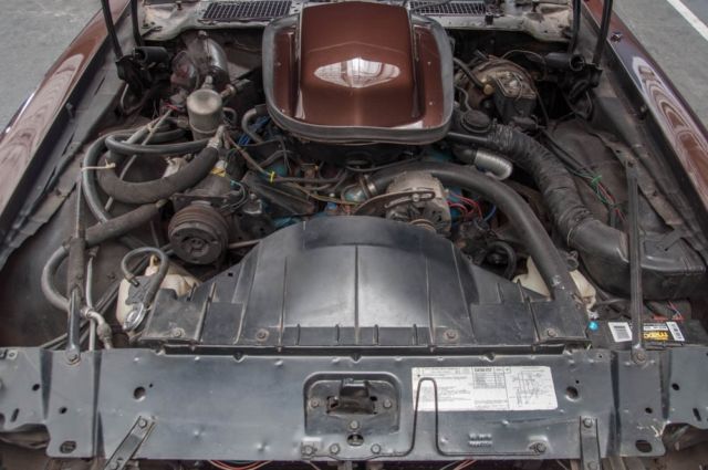 1979 Pontiac Firebird Trans Am - photo 11