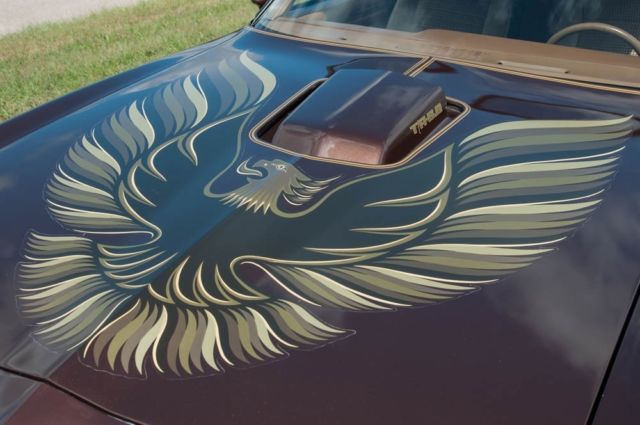 1979 Pontiac Firebird Trans Am - photo 6