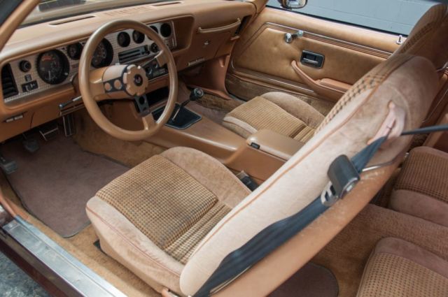1979 Pontiac Firebird Trans Am - photo 7