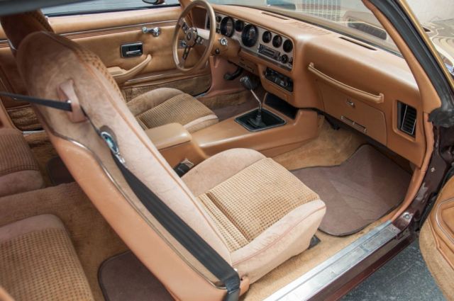 1979 Pontiac Firebird Trans Am - photo 9