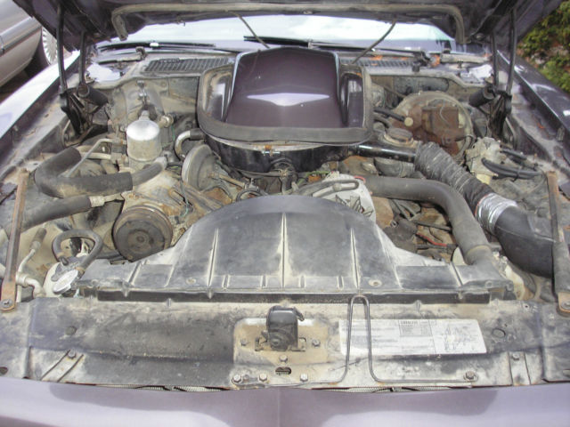 1979 Pontiac Firebird - photo 11