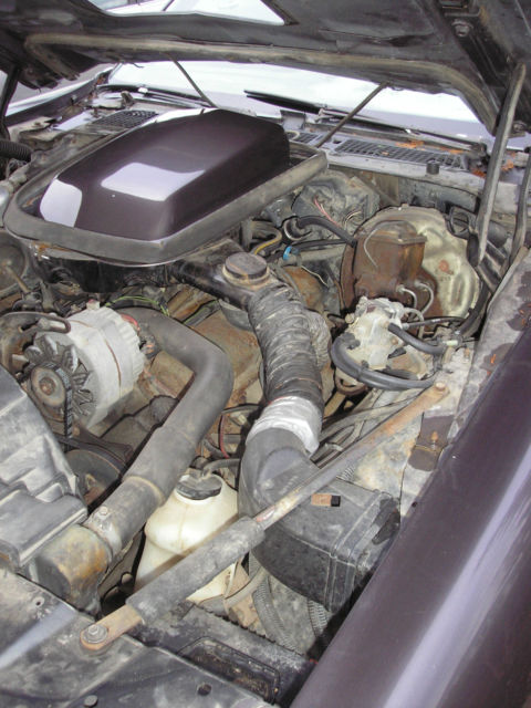 1979 Pontiac Firebird - photo 13