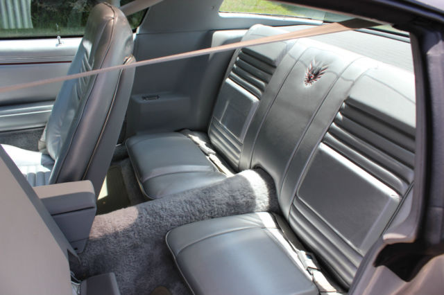 1979 Pontiac Firebird 10th Anniversary Limited Edition - photo 12