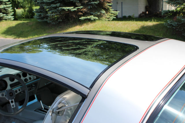 1979 Pontiac Firebird 10th Anniversary Limited Edition - photo 8