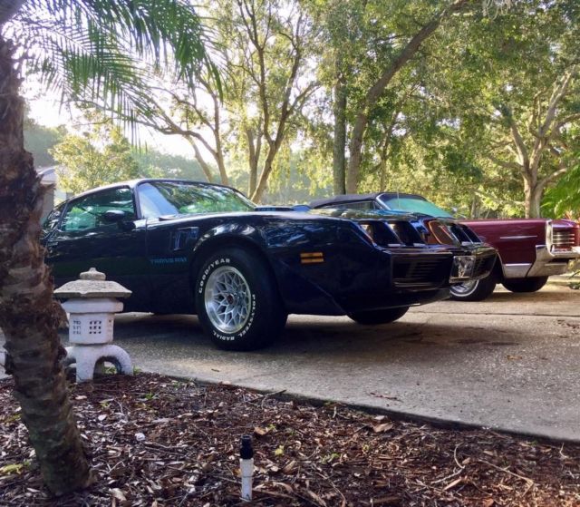 1979 Pontiac Firebird Trans Am Coupe 2-Door - photo 4