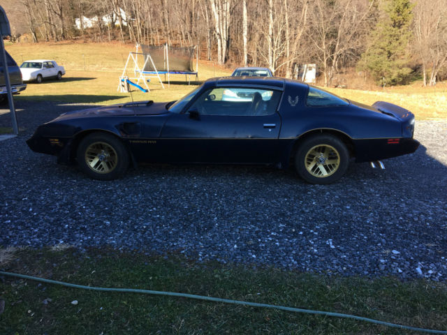 1979 Pontiac Firebird Trans Am Coupe 2-Door 6.6L T Tops 1979 Pontiac Firebird Trans Am Coupe 2-Door