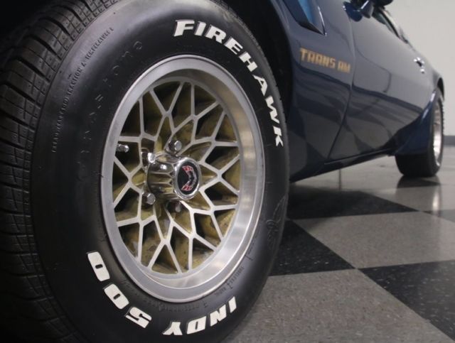 1979 Pontiac Firebird Trans Am - photo 11