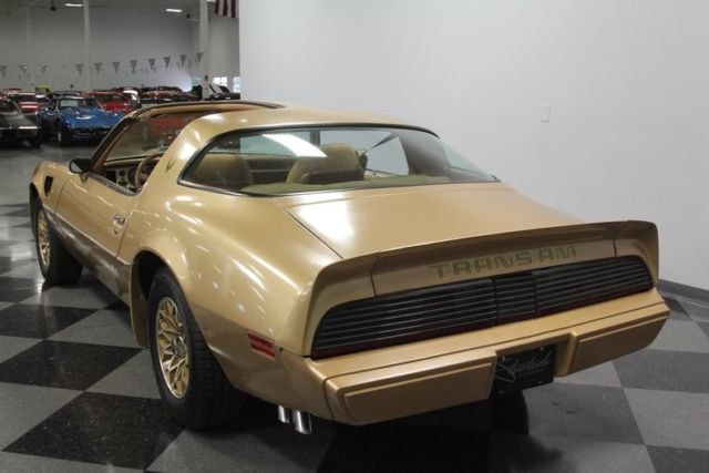 1979 Pontiac Firebird Trans Am - photo 11