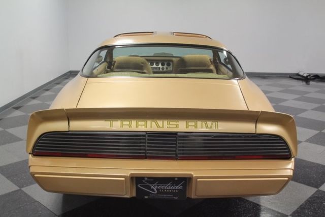 1979 Pontiac Firebird Trans Am - photo 12