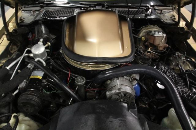 1979 Pontiac Firebird Trans Am - photo 4