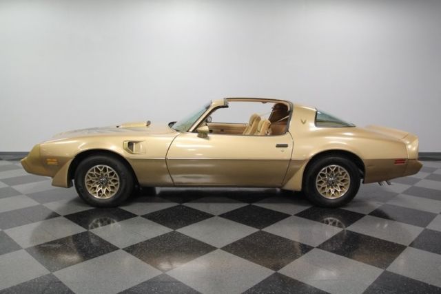 1979 Pontiac Firebird Trans Am - photo 8