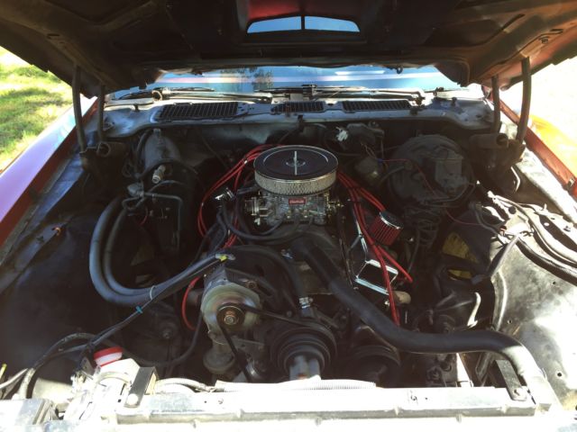 1979 Pontiac Firebird Trans Am Coupe 2-Door - photo 7