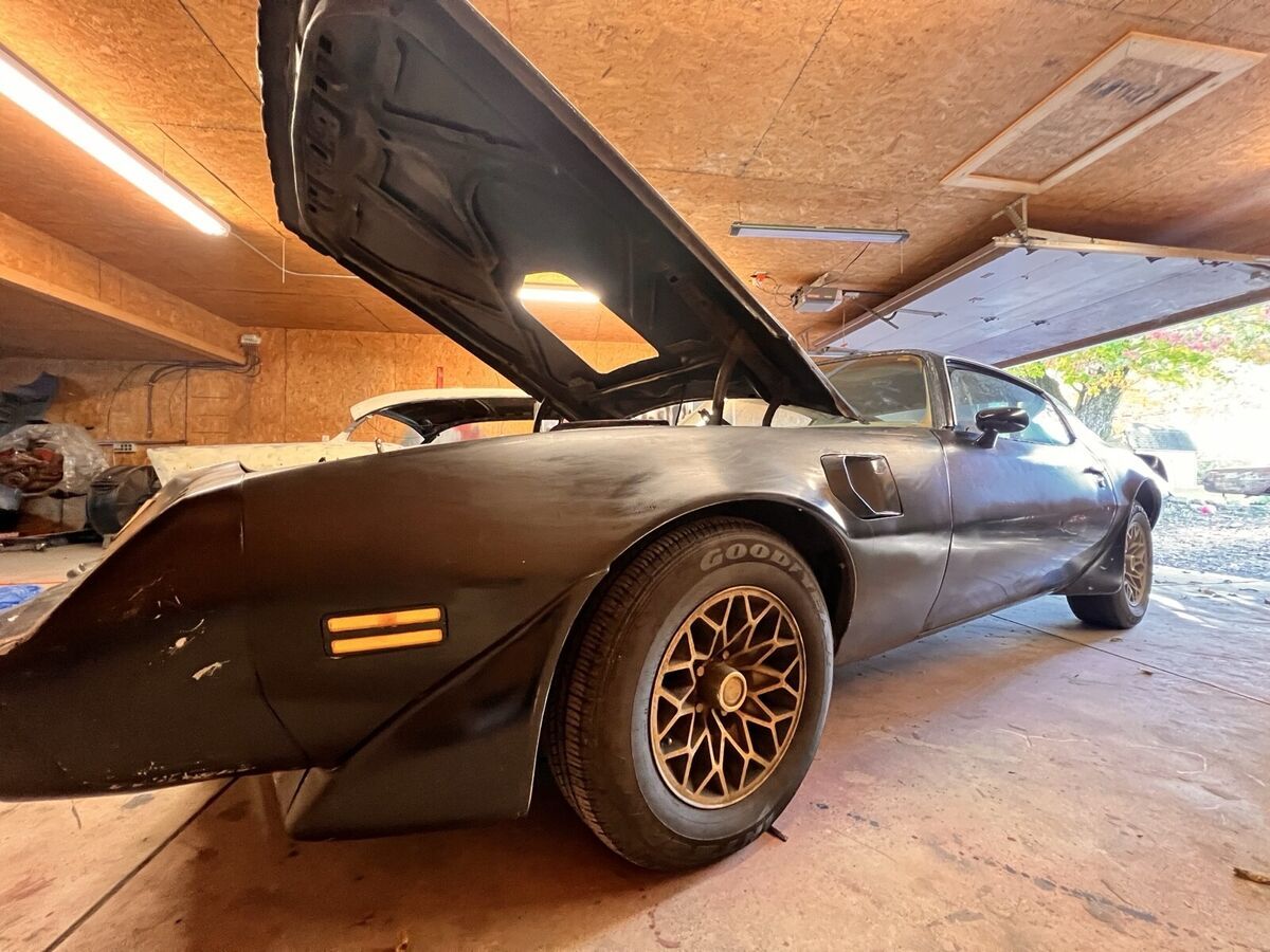 1979 Pontiac Firebird - photo 2
